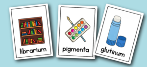 Latin classroom flashcards